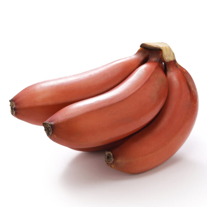 Exotic King - Crvena banana