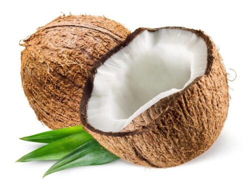 exotic king coconut