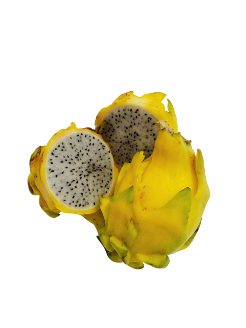 Kraljevska žuto zelena pitahaya