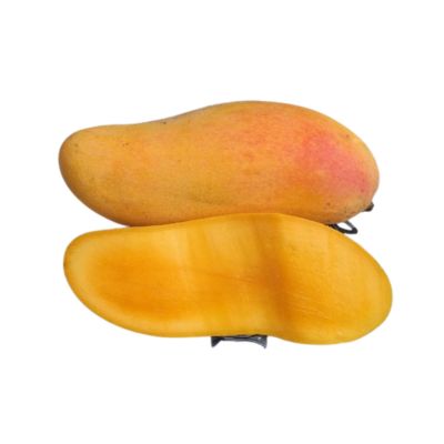 Exotic-king-mango-Mahachanok